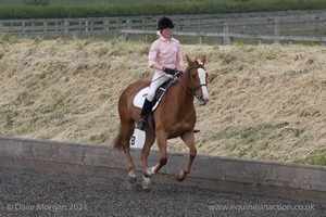 ISIS Dressage Challenge 2008